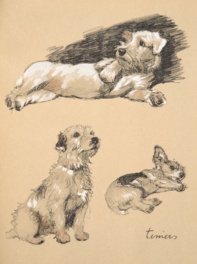 Terrier, 1930, Illustrationen aus seinem Skizzenbuch verwendet für 